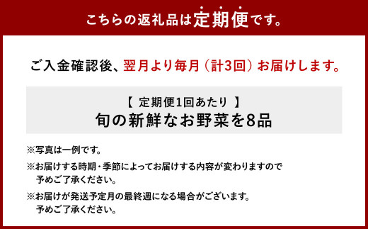 【3回定期便】特別栽培季節のお野菜セット 8品 野菜 新鮮 やさい 旬 詰合せ 国産 宮崎県 九州 送料無料