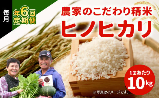 【定期便 年6回】農家のこだわり 精米 ヒノヒカリ 10kg × 6回 合計 60kg 米 お米 おにぎり お弁当 TKG ひのひかり 定期便 10kg 米 国産 宮崎県 九州 送料無料