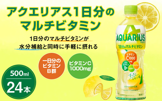 アクエリアス 1日分のマルチビタミン PET 500ml×24本 1ケース【コカコーラ】 水分補給 スポーツ飲料 清涼飲料水 常温 AQUARIUS コカ・コーラ 熱中症対策 送料無料