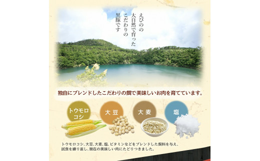 えびの純粋 黒豚お肉セット (肩ロース368g・ロース300g) 合計668g 焼肉 豚肉 お肉 ギフト 贈り物 お礼 お祝い 高級 宮崎県えびの市産 冷凍 送料無料