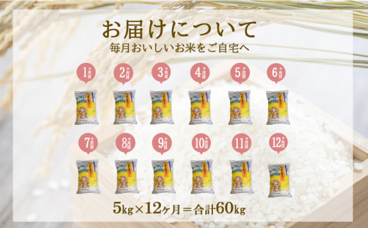 【年間定期便】 えびの産 ひのひかり 5kg×12ヶ月 合計 60kg 米 定期便 お米 おにぎり お弁当 TKG ヒノヒカリ 九州 宮崎県 特選米 冷めても美味しい 送料無料