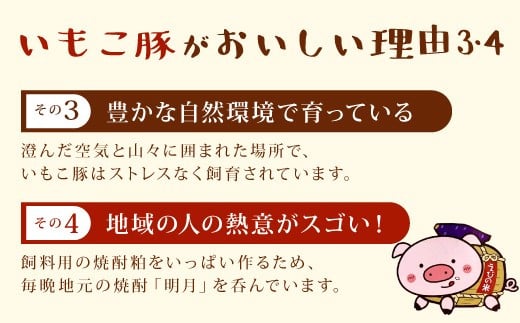 簡単便利 いもこ豚 ひと口みそ漬け 食べ比べセット (9人前) 合計1.62kg (肩ロース・ロース・ヒレ) 各540g　みそ漬け 味噌漬け 豚肉 豚 肉 食べ比べ 3種 セット 詰合せ 冷凍 宮崎県産 九州産 送料無料