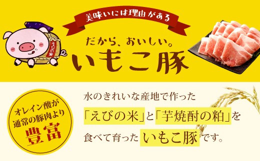 いもこ豚（彩） 鉄板焼きセット 合計2.1kg セット 切り落とし ロース バラ 肩ロース 小間切れ 焼肉 焼き肉 豚肉 いもこ豚 セット 詰合せ 冷凍 宮崎県産 九州産 送料無料