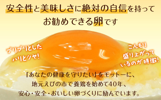 えびのの大自然で育ったこだわりタマゴ 康卵 108個 破損保証10個含む 赤 MSサイズ 卵 たまご 玉子 タマゴ 生卵 鶏卵 玉子焼き 卵焼き ゆで卵 ゆでたまご エッグ TKG 卵かけご飯 たまごかけごはん つまめる 鶏 国産 九州産 送料無料