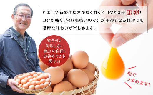 えびのの大自然で育ったこだわりタマゴ 康卵 108個 破損保証10個含む 赤 MSサイズ 卵 たまご 玉子 タマゴ 生卵 鶏卵 玉子焼き 卵焼き ゆで卵 ゆでたまご エッグ TKG 卵かけご飯 たまごかけごはん つまめる 鶏 国産 九州産 送料無料