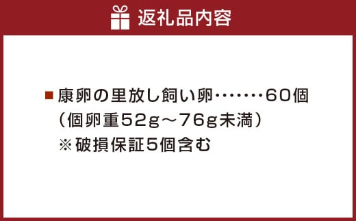 卵 鶏卵 康卵の里「放し飼い卵」 卵60個 宮崎県えびの市産 九州産 国産 玉子 タマゴ 卵 生卵 鶏卵 たまご 玉子焼き 卵焼き ゆで卵 ゆでたまご エッグ TKG 卵かけご飯 たまごかけごはん つまめる 破損保証5個含む 送料無料