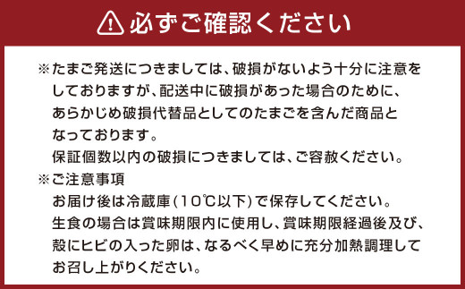 卵 鶏卵 康卵の里「放し飼い卵」 卵60個 宮崎県えびの市産 九州産 国産 玉子 タマゴ 卵 生卵 鶏卵 たまご 玉子焼き 卵焼き ゆで卵 ゆでたまご エッグ TKG 卵かけご飯 たまごかけごはん つまめる 破損保証5個含む 送料無料