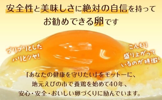 わけありたまご 康卵 90個 破損保証10個含む 赤 Mサイズ 卵 たまご タマゴ 玉子 生卵 鶏卵 玉子焼き 卵焼き ゆで卵 ゆでたまご エッグ TKG 卵かけご飯 たまごかけごはん つまめる 鶏 訳あり 国産 九州産 送料無料
