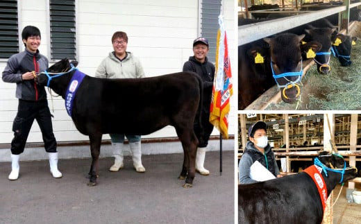 宮崎牛 切り落とし 霜降り ＆ 赤身 焼肉セット 700g カルビ モモ ウデ 赤身 国産牛 牛肉 お肉 冷凍 焼肉 焼き肉 BBQ バーベキュー 鉄板 ホットプレート ギフト 贈答用 贈り物 特別な日 誕生日 宮崎県 九州 送料無料 日本一 祝！宮崎牛は、史上初和牛オリンピック４大会連続内閣総理大臣賞受賞！ 
