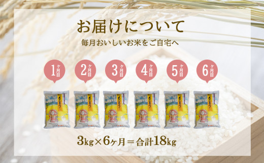 【半年定期便】えびの産 ひのひかり 3kg×6ヶ月 合計 18kg 定期便 米 お米 白米 ヒノヒカリ おにぎり お弁当 九州 宮崎県 特選米 冷めても美味しい 送料無料