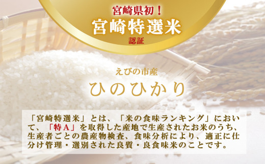 【半年定期便】えびの産 ひのひかり 3kg×6ヶ月 合計 18kg 定期便 米 お米 白米 ヒノヒカリ おにぎり お弁当 九州 宮崎県 特選米 冷めても美味しい 送料無料