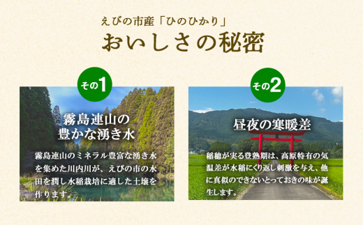 【半年定期便】えびの産 ひのひかり 3kg×6ヶ月 合計 18kg 定期便 米 お米 白米 ヒノヒカリ おにぎり お弁当 九州 宮崎県 特選米 冷めても美味しい 送料無料