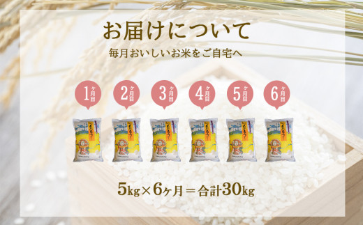 【半年定期便】新米 えびの産 ひのひかり 5kg×6ヶ月 合計 30kg 定期便 米 お米 白米 ヒノヒカリ おにぎり お弁当 九州 宮崎県 特選米 冷めても美味しい 送料無料