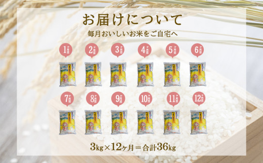 【年間定期便】 えびの産 ひのひかり 3kg×12ヶ月 合計 36kg 定期便 米 お米 白米 おにぎり ヒノヒカリ お弁当 九州 宮崎県 特選米 冷めても美味しい 送料無料