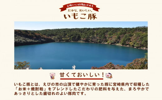 豚肉 いもこ豚 小間切れ 3kg 500g×6パック ぶたにく ブタ肉 細切れ こま切れ 冷凍 送料無料 国産 九州 宮崎県