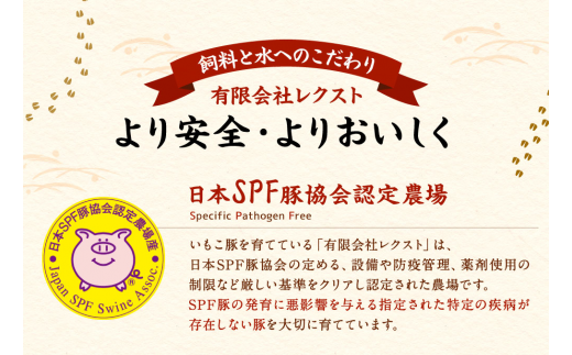 豚肉 いもこ豚 小間切れ 3kg 500g×6パック ぶたにく ブタ肉 細切れ こま切れ 冷凍 送料無料 国産 九州 宮崎県