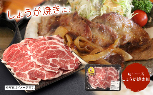 【訳あり】豚肉【定期便年6回/偶数月発送】いもこ豚(彩)  5種盛り バラエティセット 2.16kg バラスライス バラ 小間切れ 細切れ こま切れ ロース 肩ロース しゃぶしゃぶ スライス 豚ミンチ 豚肉 いもこ豚 セット 詰合せ 生姜焼き 焼肉 サムギョプサル ポッサム 豚丼 とんかつ 鉄板 ホットプレート パーティー 冷凍 宮崎県産 九州産 送料無料