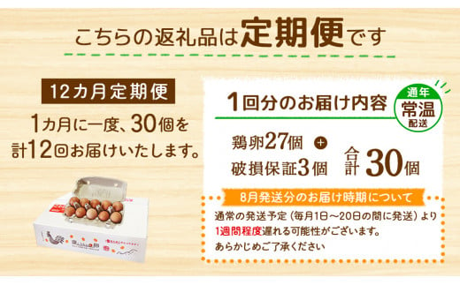 【12回定期便】卵 鶏卵 霧島山麓育ち こだわり卵『康卵』 30個入り×12回 合計360個 卵 たまご 玉子 タマゴ 生卵 鶏卵 玉子焼き 卵焼き ゆで卵 ゆでたまご エッグ TKG 卵かけご飯 たまごかけごはん つまめる 送料無料 宮崎県 えびの 九州