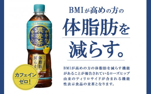 【2回定期便】やかんの濃麦茶 from 爽健美茶 600ml PET×24本（１ケース）合計48本【コカコーラ】 日本茶 お茶 麦茶 ペットボトル カフェインゼロ 常温 送料無料 こども 美容 むくみ BMI 体脂肪