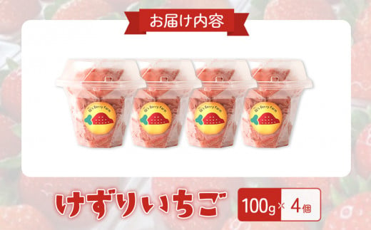 イチゴ農家のけずりいちご 約100g×4カップ いちご イチゴ 苺 フルーツ 冷凍 夏 スイーツ 冷凍イチゴ くだもの 果物 九州 宮崎 送料無料 氷 アイス