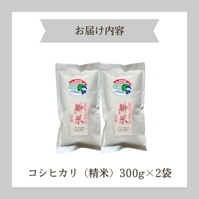 令和6年産 新米 11月から発送 特別栽培米 鰰米 コシヒカリ 2合×2袋（300g×2袋 小分け 精米）