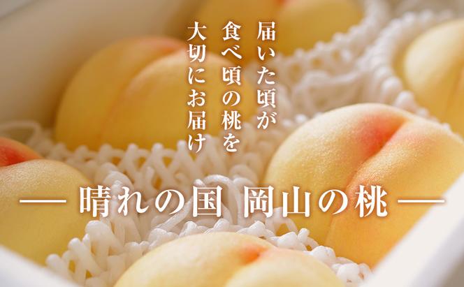  【2025年先行予約】 桃 岡山県産 清水 白桃 約1.5kg(5～6玉)  《2025年7月中旬-8月上旬頃出荷》 白桃 岡山 はくとう スイーツ フルーツ 果物 先行予約 数量限定 期間限定 岡山 里庄町 モモ もも 桃