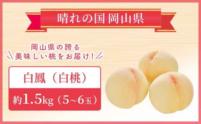  桃 【2025年先行予約】岡山県産 白鳳 （ 白桃 ） 約1.5kg(5～6玉)   白桃 岡山 はくとう スイーツ フルーツ 果物 先行予約 数量限定 期間限定 里庄町 モモ もも