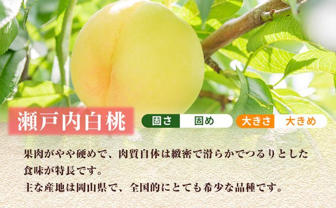 【2025年先行予約】 桃 岡山県産 どれも食べたい！岡山の桃 3種 満喫 プラン 3回 コースA ( 日川白鳳 ・ 白鳳 ・ 瀬戸内白桃 各1.5kg)《2025年6月上旬-8月下旬頃出荷》白桃 数量限定 期間限定 定期便