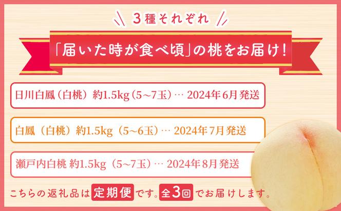 【2025年先行予約】 桃 岡山県産 どれも食べたい！岡山の桃 3種 満喫 プラン 3回 コースA ( 日川白鳳 ・ 白鳳 ・ 瀬戸内白桃 各1.5kg)《2025年6月上旬-8月下旬頃出荷》白桃 数量限定 期間限定 定期便