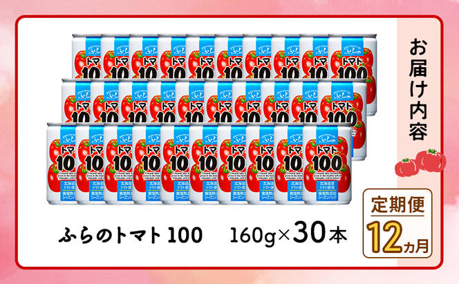 【 12ヵ月 定期便 】ふらの トマト100 160g×30本入　野菜  ジュース  (ジュース 野菜ジュース 飲み物 缶 北海道 送料無料 道産 富良野市 ふらの)