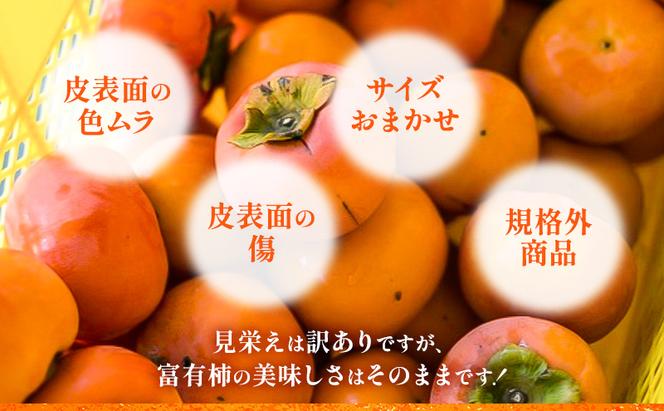 柿【訳アリ】ご家庭用 富有柿M～2Lサイズ 3kg サイズおまかせ かきフルーツ カキ 果物 くだもの 産地直送 岐阜県 瑞穂市 お取り寄せ