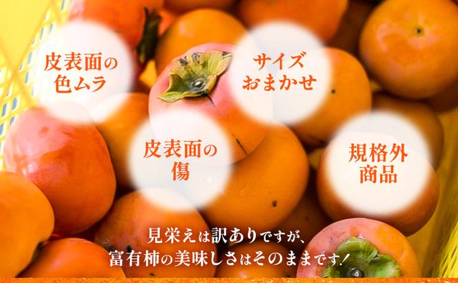 柿【訳アリ】ご家庭用 富有柿M～2Lサイズ 7kg サイズおまかせ かきフルーツ カキ 果物 くだもの 産地直送 岐阜県 瑞穂市 お取り寄せ