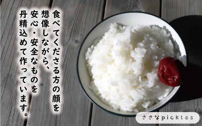 新米 令和6年産 コシヒカリ 10kg 12000円 お米 白米 こしひかり 米 こめ 精米 産地直送 国産 農家直送 期間限定 数量限定 特産品 令和6年度産 2024年産 新品種 大粒 もっちり 粘り 甘み おいしい おにぎり 人気 内祝い お祝い 贈答品 お返し プレゼント 土産 御礼 お礼 お取り寄せ 愛南町 愛媛県 ささなピクルス