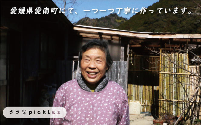 新米 令和6年産 コシヒカリ 10kg 12000円 お米 白米 こしひかり 米 こめ 精米 産地直送 国産 農家直送 期間限定 数量限定 特産品 令和6年度産 2024年産 新品種 大粒 もっちり 粘り 甘み おいしい おにぎり 人気 内祝い お祝い 贈答品 お返し プレゼント 土産 御礼 お礼 お取り寄せ 愛南町 愛媛県 ささなピクルス