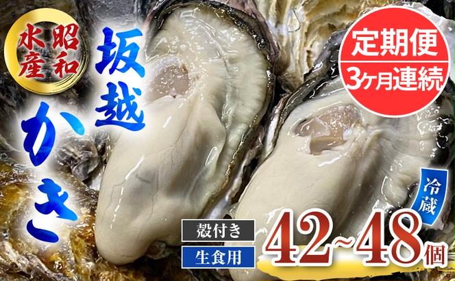 定期便 牡蠣 生食用 坂越かき 殻付き 42～48個《3ヶ月連続お届け》 昭和水産 [ 生牡蠣 真牡蠣 かき カキ 冬牡蠣 ]