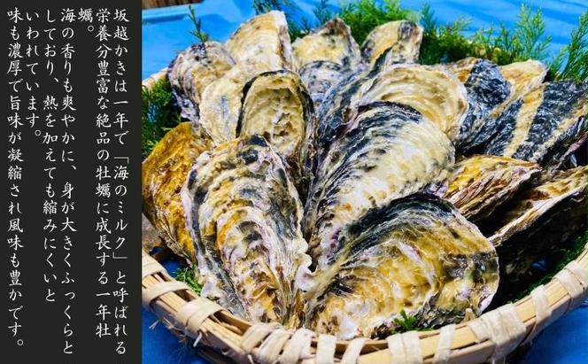 定期便 牡蠣 生食用 坂越かき 殻付き 42～48個《3ヶ月連続お届け》 昭和水産 [ 生牡蠣 真牡蠣 かき カキ 冬牡蠣 ]