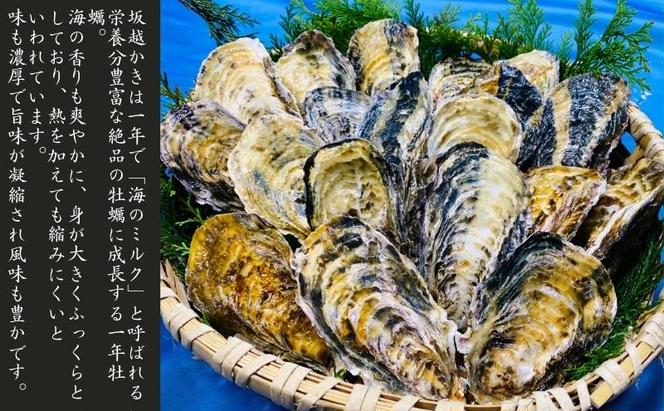 定期便 牡蠣 生食用 坂越かき 殻付き 20～25個《2ヶ月連続お届け》 松本水産 [ 生牡蠣 真牡蠣 かき カキ 冬牡蠣 ]