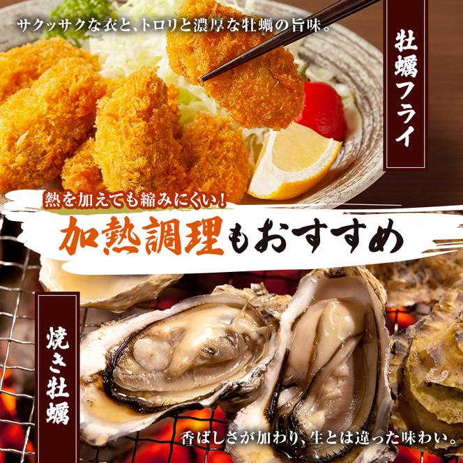 定期便 牡蠣 生食用 坂越かき 殻付き 20～25個《3ヶ月連続お届け》 成林水産 [ 生牡蠣 真牡蠣 かき カキ 冬牡蠣 ]