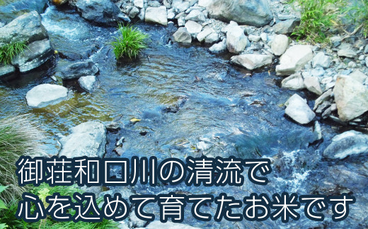 新米 令和6年産 にじのきらめき 5kg 8000円 お米 白米 精米 米 こめ 産地直送 国産 農家直送 期間限定 数量限定 特産品 令和6年度産 2024年産 新品種 大粒 もっちり 粘り 甘み おいしい おにぎり 人気 コシヒカリ に負けない 内祝い お祝い 贈答品 お返し プレゼント 土産 御礼 お礼 お取り寄せ 愛南町 愛媛県