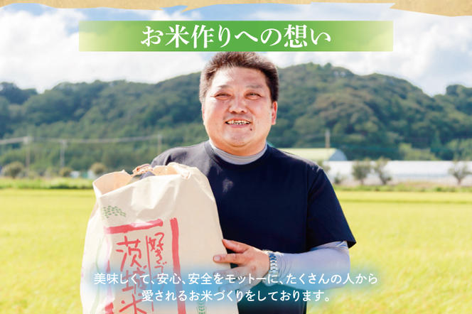 【令和6年産】鹿嶋市産ミルキークイーンと特別栽培米コシヒカリ食べ比べセット計10kg(各5kg×1袋)【お米 米 こしひかり 特別栽培 有機肥料 有機栽培 鹿嶋市 茨城県 玄米 白米 新米 おにぎり ごはん 30000円以内 3万円以内】(KBS-10）