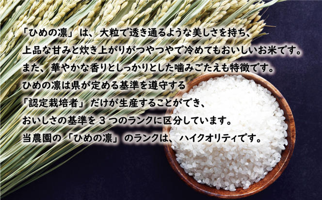 先行予約 新米 令和6年産 ひめの凜 10kg 17000円 お米 白米 精米 米 こめ 産地直送 国産 農家直送 期間限定 数量限定 特産品 先行 事前 受付 令和6年度産 2024年産 新品種 人気 ブランド 大粒 もっちり 甘み ハイクオリティ 冷めても おいしい おにぎり コシヒカリ に負けない 香り 内祝い お祝い 贈答品 お返し プレゼント 土産 御礼 お礼 お取り寄せ 愛南町 愛媛県