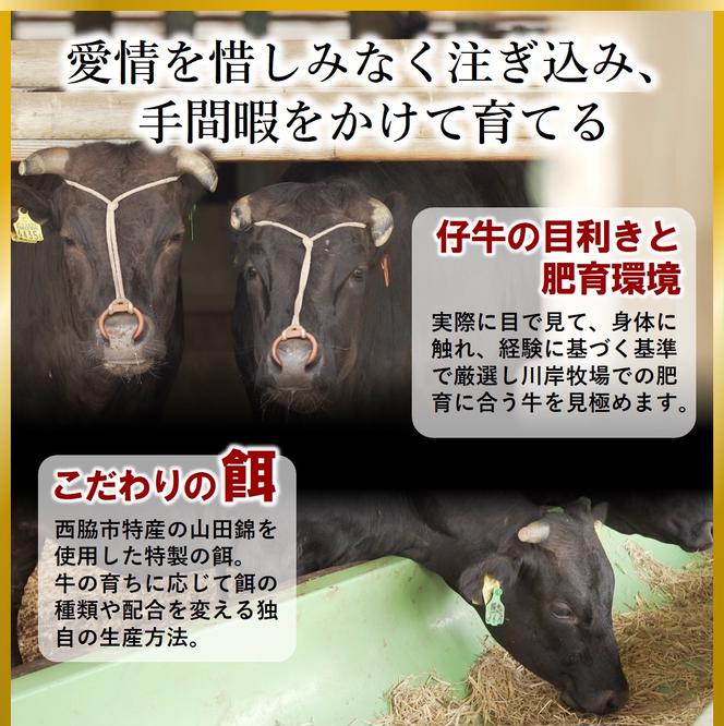 神戸牛 牝　モモ肩すき焼き・しゃぶしゃぶ用 1kg 冷凍《川岸牧場》神戸ビーフ