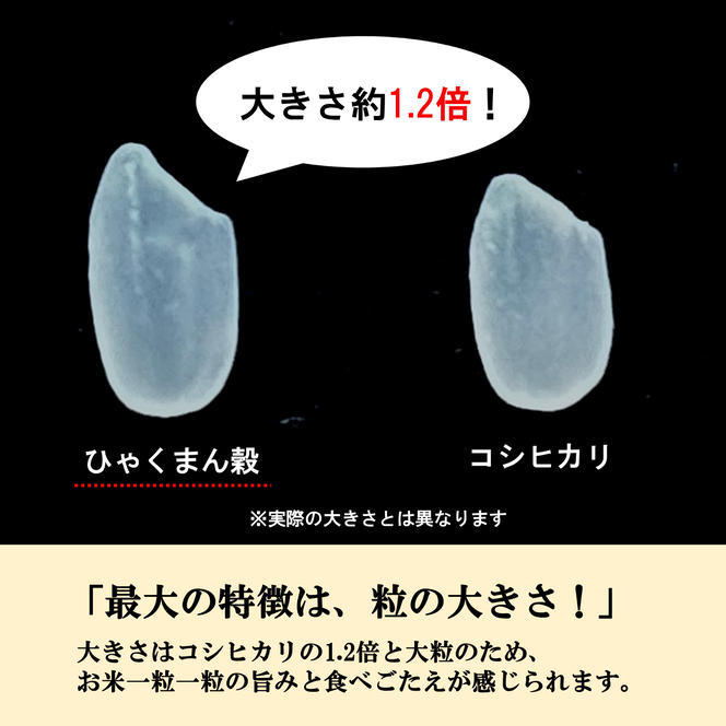 【日本農業賞大賞】ひゃくまん穀9kg(4.5kg×2袋)精白米 能美市 お米 米