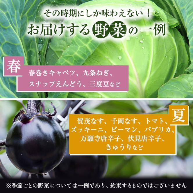 ＜京野菜の京都やおよし＞丹波野菜詰め合わせセット《栽培期間中農薬不使用 野菜》※北海道・沖縄・離島への発送不可