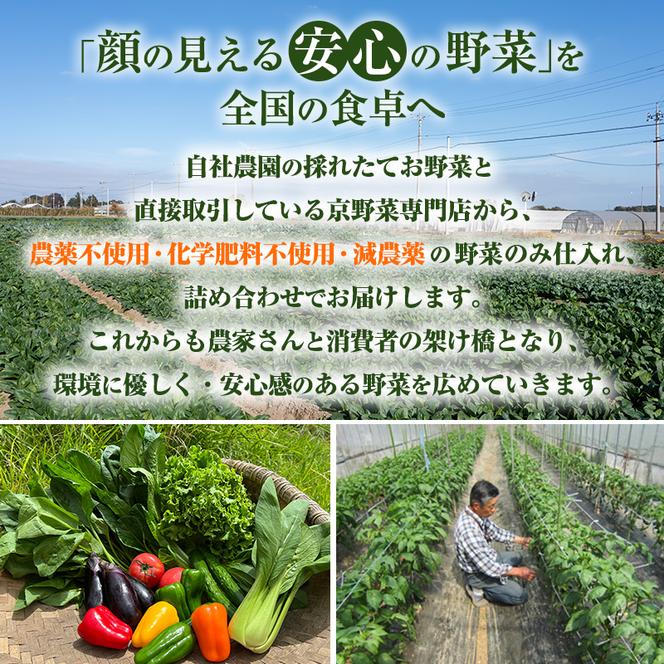 ＜京野菜の京都やおよし＞丹波野菜詰め合わせセット《栽培期間中農薬不使用 野菜》※北海道・沖縄・離島への発送不可