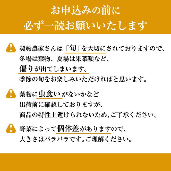 ＜京野菜の京都やおよし＞丹波野菜詰め合わせセット《栽培期間中農薬不使用 野菜》※北海道・沖縄・離島への発送不可