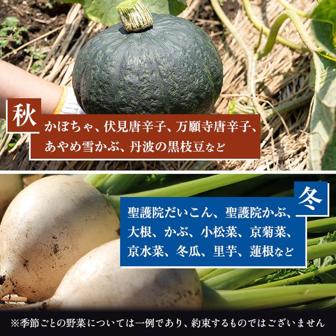 【定期便4回】＜京野菜の京都やおよし＞丹波野菜詰め合わせセット《栽培期間中農薬不使用 野菜》※北海道・沖縄・離島への発送不可