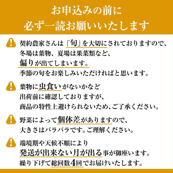 【定期便4回】＜京野菜の京都やおよし＞丹波野菜詰め合わせセット《栽培期間中農薬不使用 野菜》※北海道・沖縄・離島への発送不可