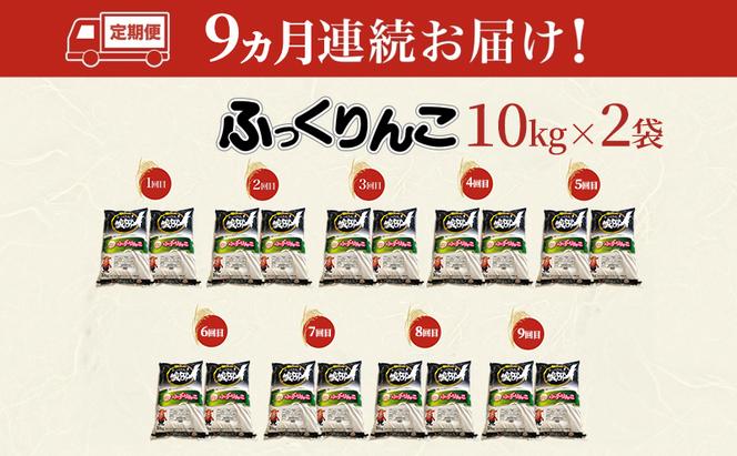 【9カ月定期便】北海道 木古内町産 ふっくりんこ 20kg 特A 精米 米 お米 白米 北海道米 道産米 ブランド米 ごはん ご飯 おにぎり ふっくら 産地直送 木古内公益振興社 送料無料