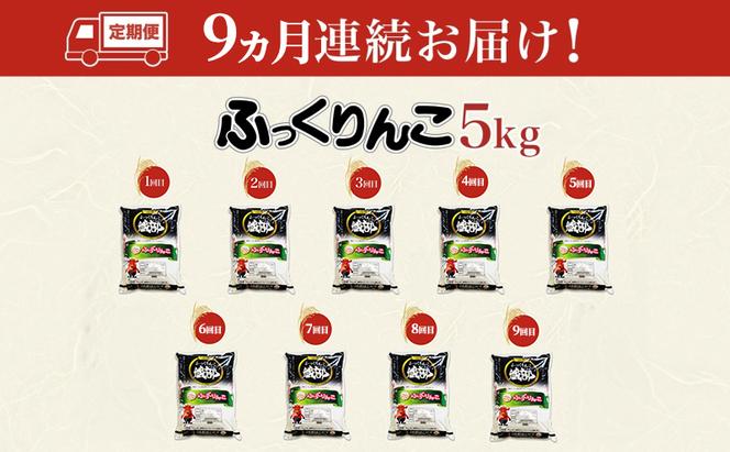 【9カ月定期便】北海道 木古内産 ふっくりんこ 5kg 特A 精米 米 お米 白米 北海道米 道産米 ブランド米 ごはん ご飯 ライス おにぎり ふっくら 産地直送 木古内公益振興社 送料無料